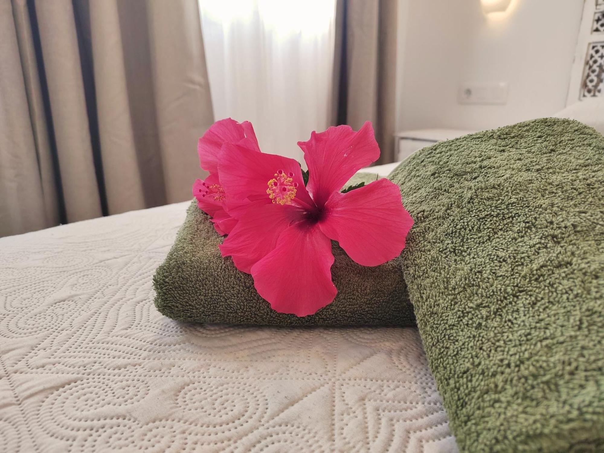 Tamarindo 27 Pool Front Next To The Dunes, Free Wifi 科拉雷侯 外观 照片